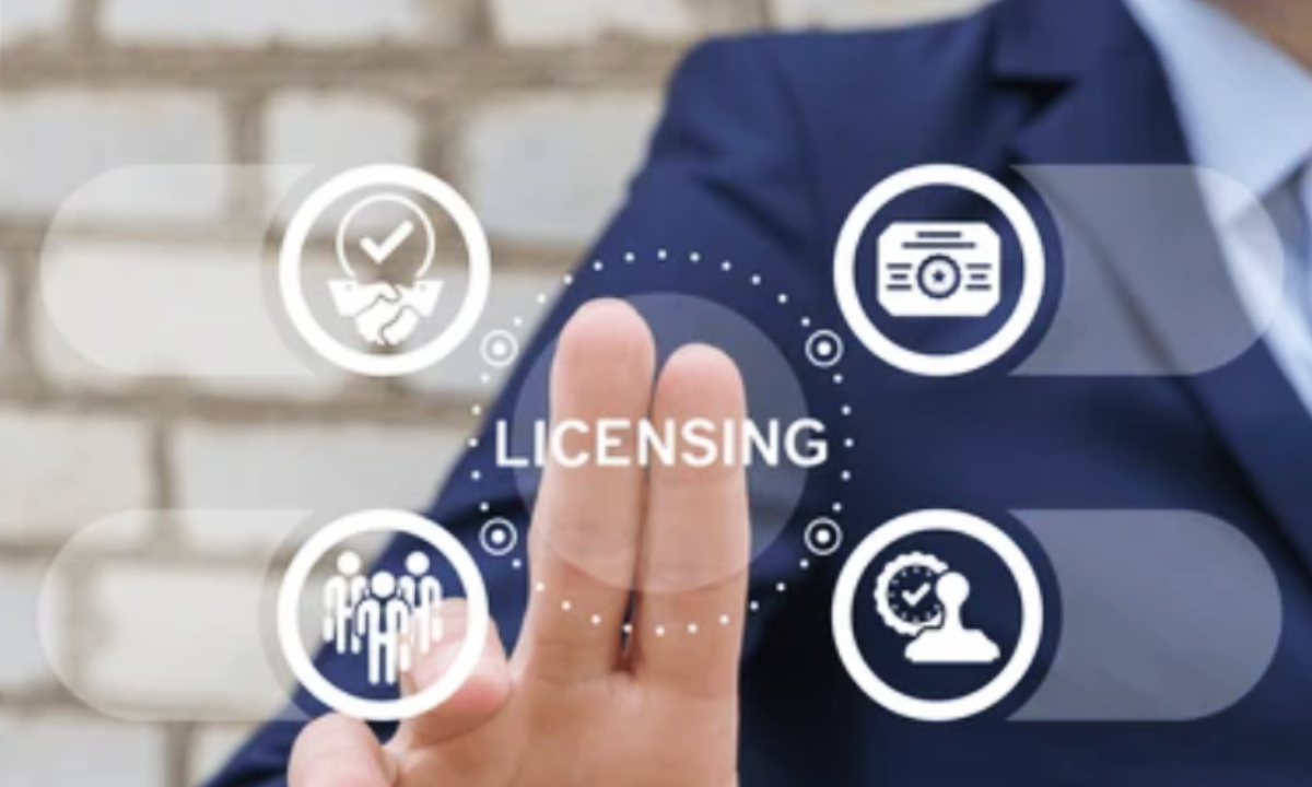 Patent Licensing and Technology Transfer