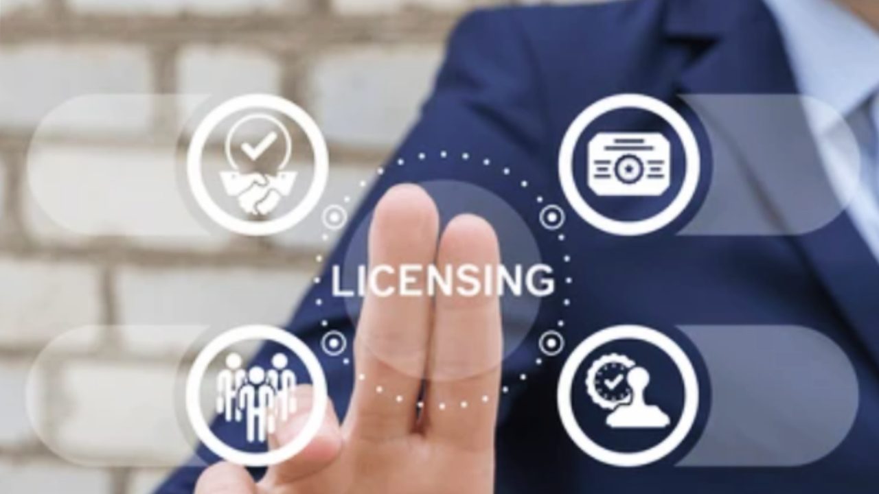Patent Licensing and Technology Transfer